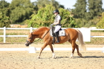 SBM_007744