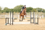 SBM_023569