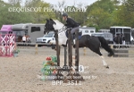 BPP_3511