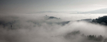Oker Hill in the mist