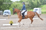 BPP_0586