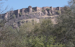 The fort of Ranthambhore