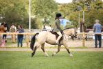 SBM_42306