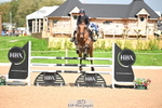 Cls 3 Snr Foxhunter portfolio