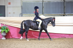 Class 101 - Equitation (Best Rider) portfolio