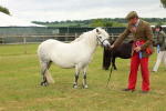 SBM_03526