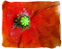 Red Poppy Flag