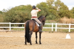 SBM_006645