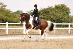 SBM_008761