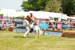 SBM_16884