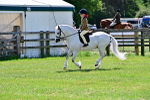 SBM_06079