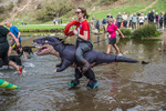 Dovedale-467