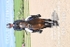 BPP_7888_2