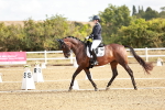 SBM_008709