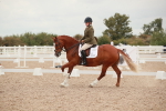 SBM_06094