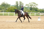 SBM_006345