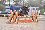 BPP_1603