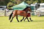 SBM_01601