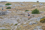 Hutton Roof-18