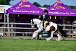 SBM_09407