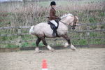 SBM_007179