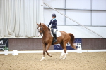 SBM_020056