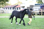 SBM_26245