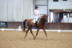 SBM_002595