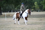 WJ7_6750