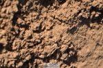 231015A-094620-06796