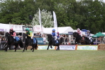 SBM_09929