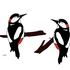 Woodpeckers