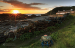 Niarbyl Pots
