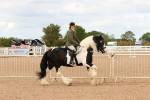 SBM_15664