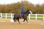 SBM_000666