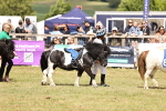 SBM_16398