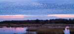 20140301-_MG_5725