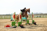 SBM_002378