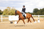 SBM_006509