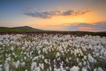 Cronk Ny Arrey Laa Summer Sunset