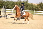 SBM_002218
