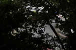FOM_4066