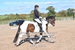 BPP_8878