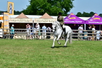 SBM_08042