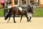 SBM_70936