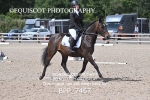 BPP_7467
