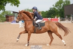 Cls 1 Pony Intro 70cm portfolio