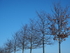 P1020080