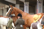 SBM_05645