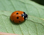 20110820-IMG_6336